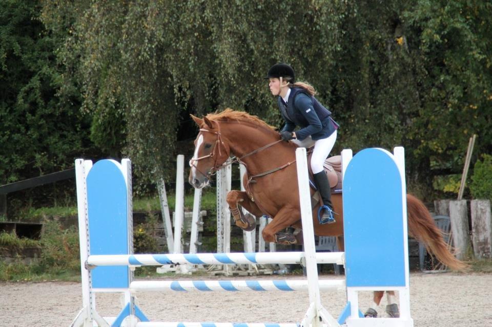 Fransk Varmblod Pickpocket - stævne på Ballerup. 
LD (90 cm) :-) billede 10