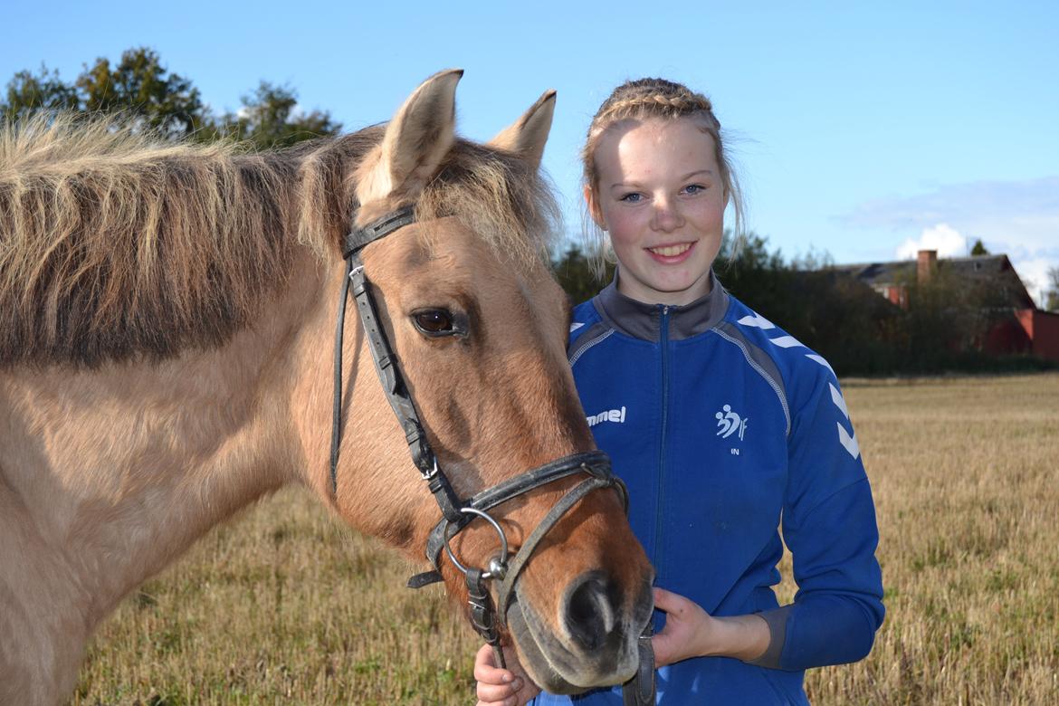 Anden særlig race | TIKKA | billede 17