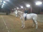 Dansk Varmblod Smirnoff (himmel hest <3) - dagen hvor han blev sendt til himmelen....<3 ;( billede 3