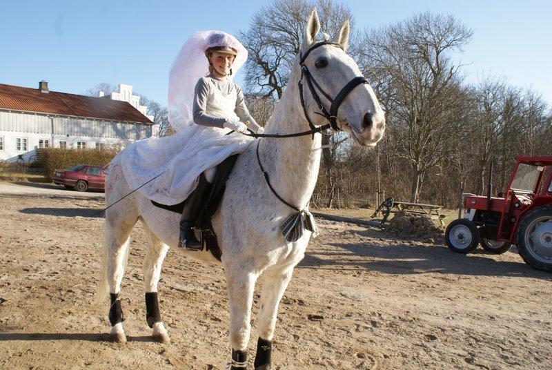 Dansk Varmblod Smirnoff (himmel hest <3) - fastelavn stævne dressur 2.plas billede 11
