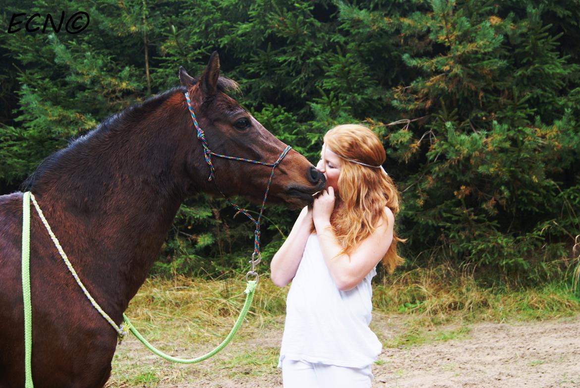Anden særlig race Kojack | pony <3 | - Mig og min baby.

Efterår 2012.

Foto: ECN © billede 2