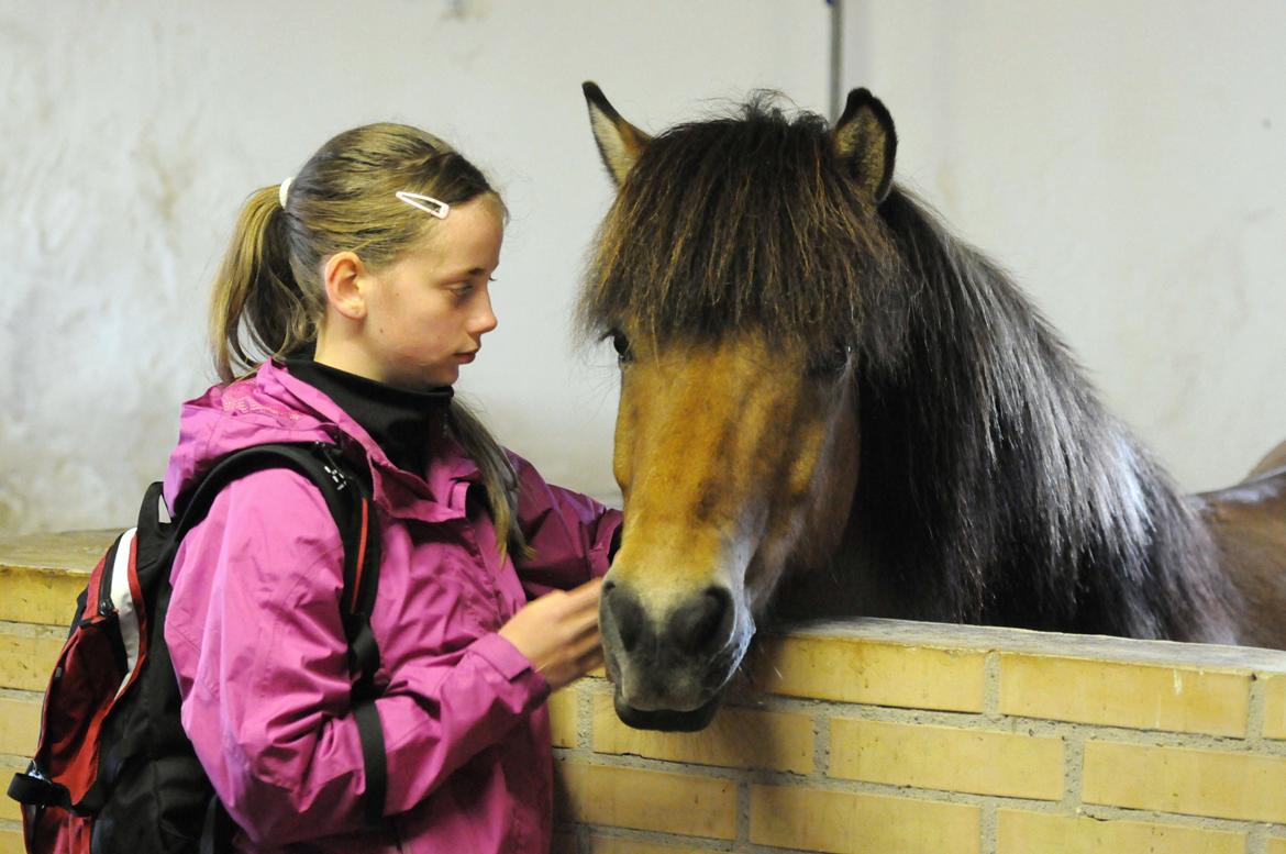 Anden særlig race Elli fra Skidbakka - Mig og Elli. Foto: Jette N billede 8