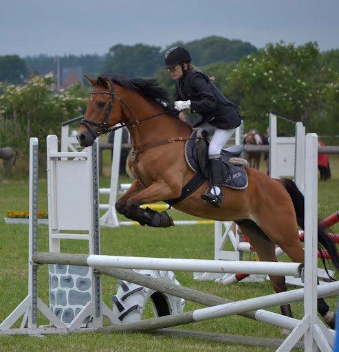 DSP Jokeren "Jokke" - mathilde-photography.tk billede 10