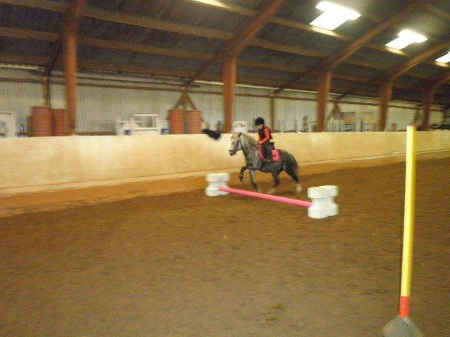 Welsh Mountain (sec A) Sisse. Himmelhest.  - Første gang Mathilde springer på Sisse :0) billede 16