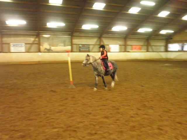 Welsh Mountain (sec A) Sisse. Himmelhest.  - Første gang Mathilde og Sisse rider Mounten games.. billede 18