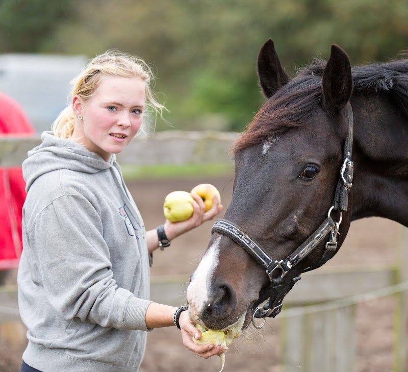 Holstener Prior's Hubert *ENGEL* <3 R.I.P 04-10-2012 billede 19