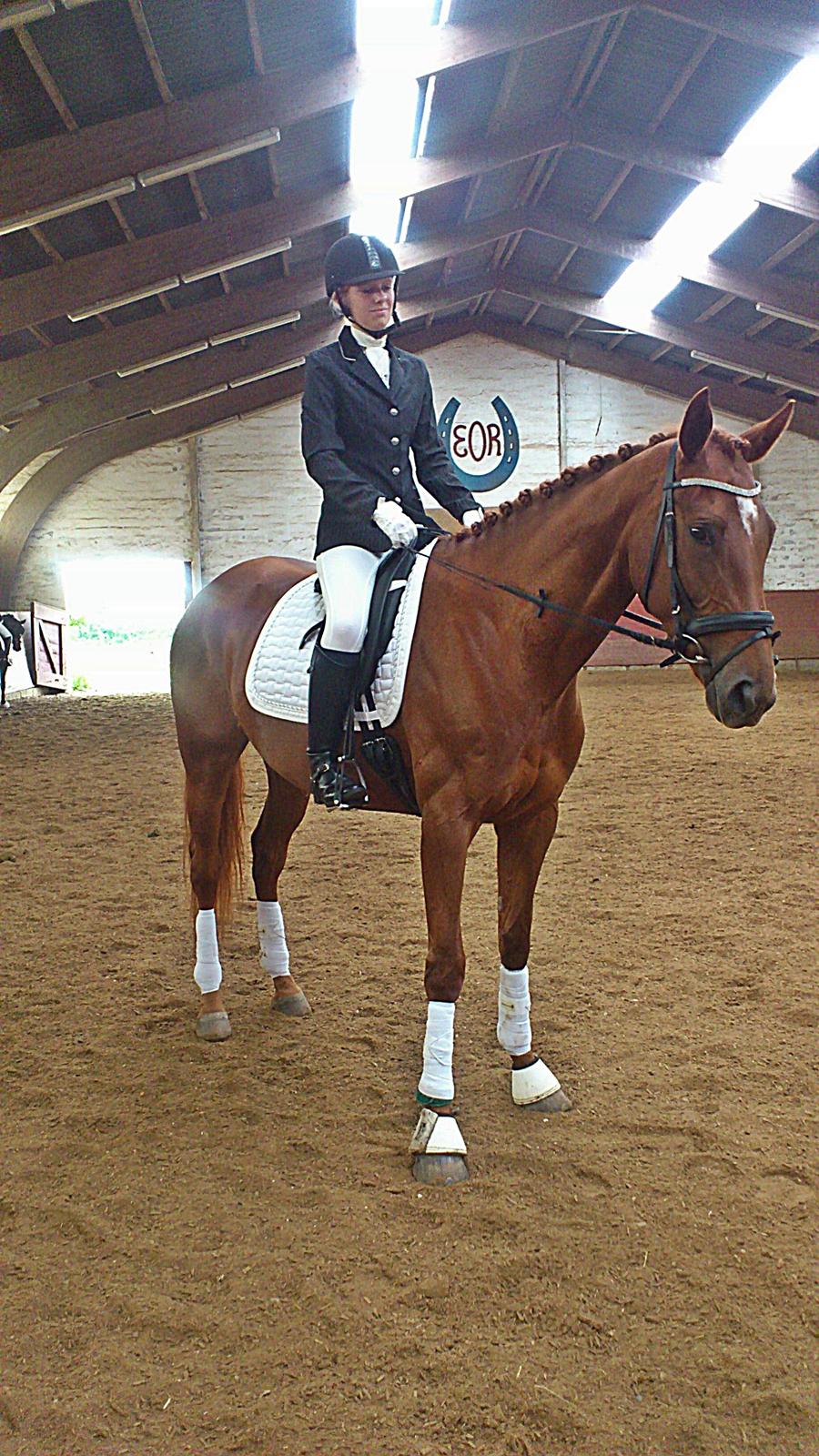 Fuldblod (XX) Tarika Pigen  ** SOLGT** - Mig og Tarika til stævne og vi kom hjem med en anden plads er stolt af hende. (:  billede 19