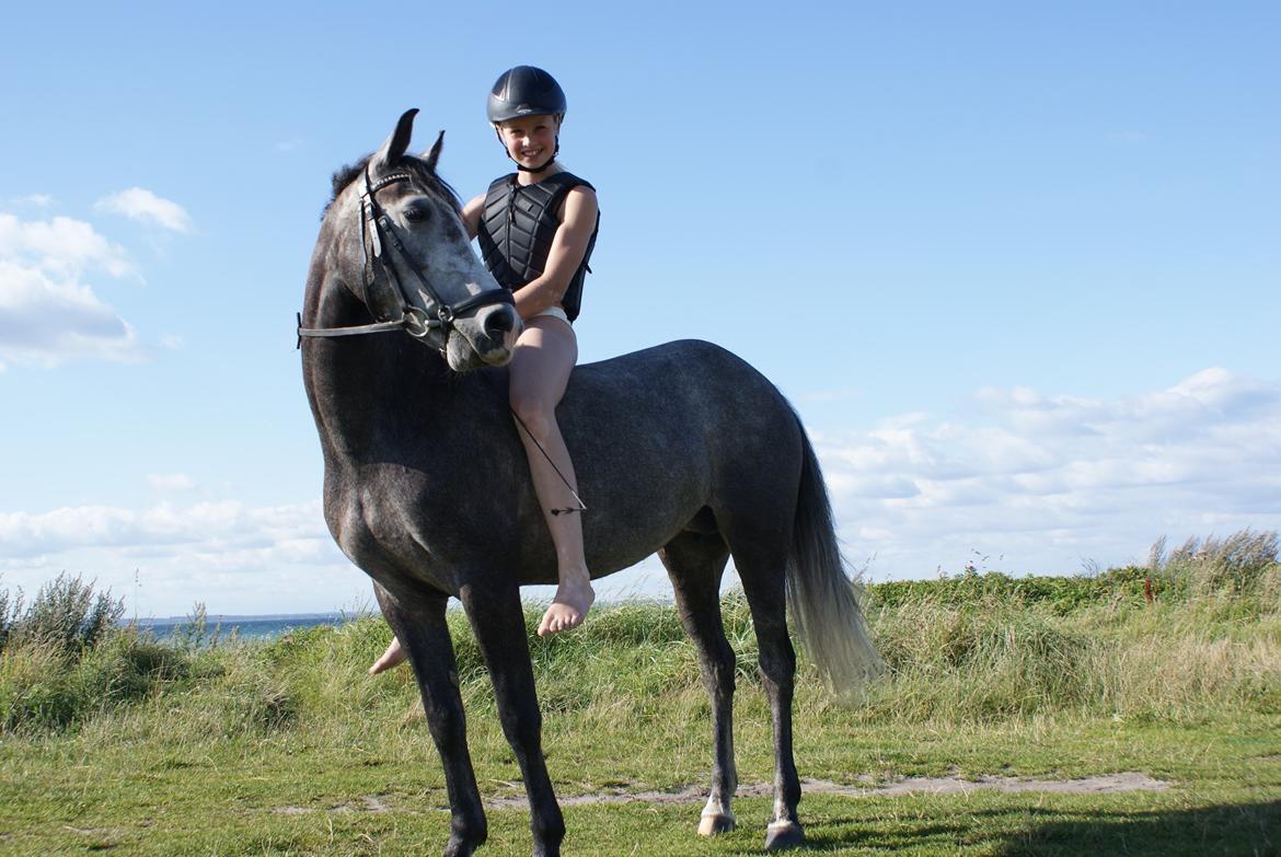 Anden særlig race Jojo (solgt) billede 4