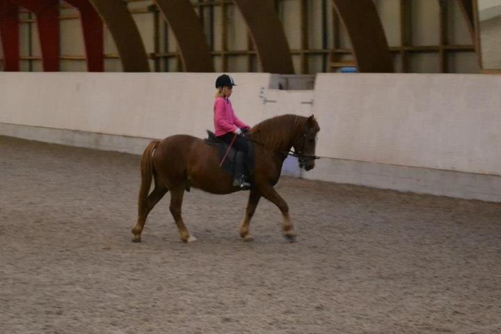 Anden særlig race Tim. <3(red :-'( ) - undervisning på Tim (Foto Camila) billede 17