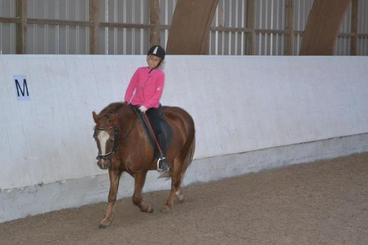 Anden særlig race Tim. <3(red :-'( ) - undervisning på Tim (Foto Camila) billede 18