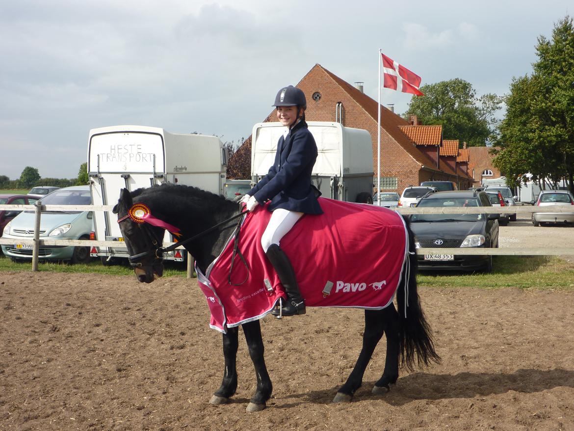 Anden særlig race Bonfire *Solgt* - Da vi vinder Pavo Cuppen billede 2