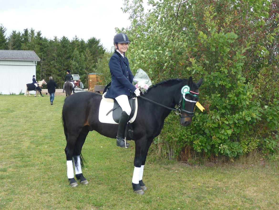 Anden særlig race Bonfire *Solgt* - Igen da vi bliver nr. 3 til SM  billede 4