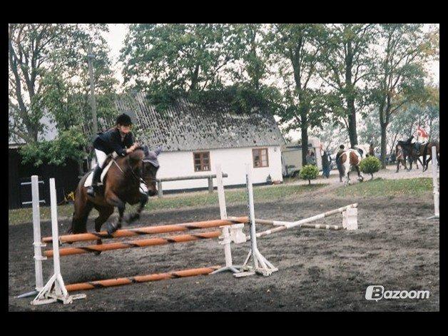 Anden særlig race Mickey Rex billede 6