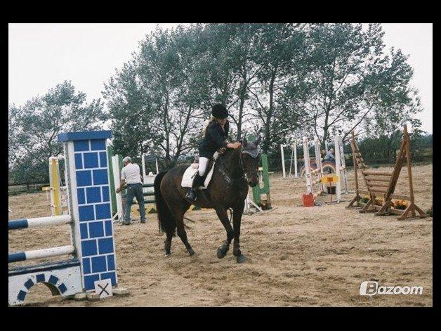 Anden særlig race Mickey Rex billede 7