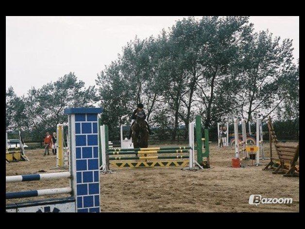 Anden særlig race Mickey Rex billede 8