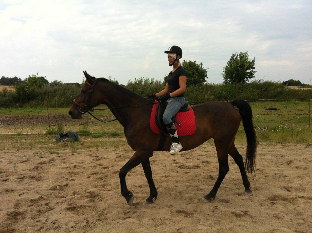 Traver Dresina billede 13