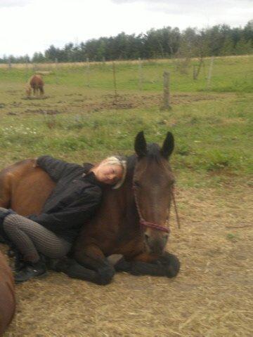 Traver Dresina billede 14