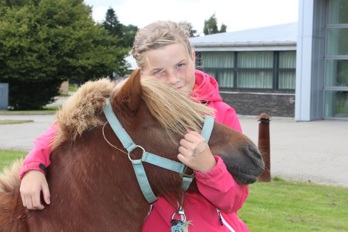 Shetlænder Felix (Familiens pony) - Mig og Felix billede 7
