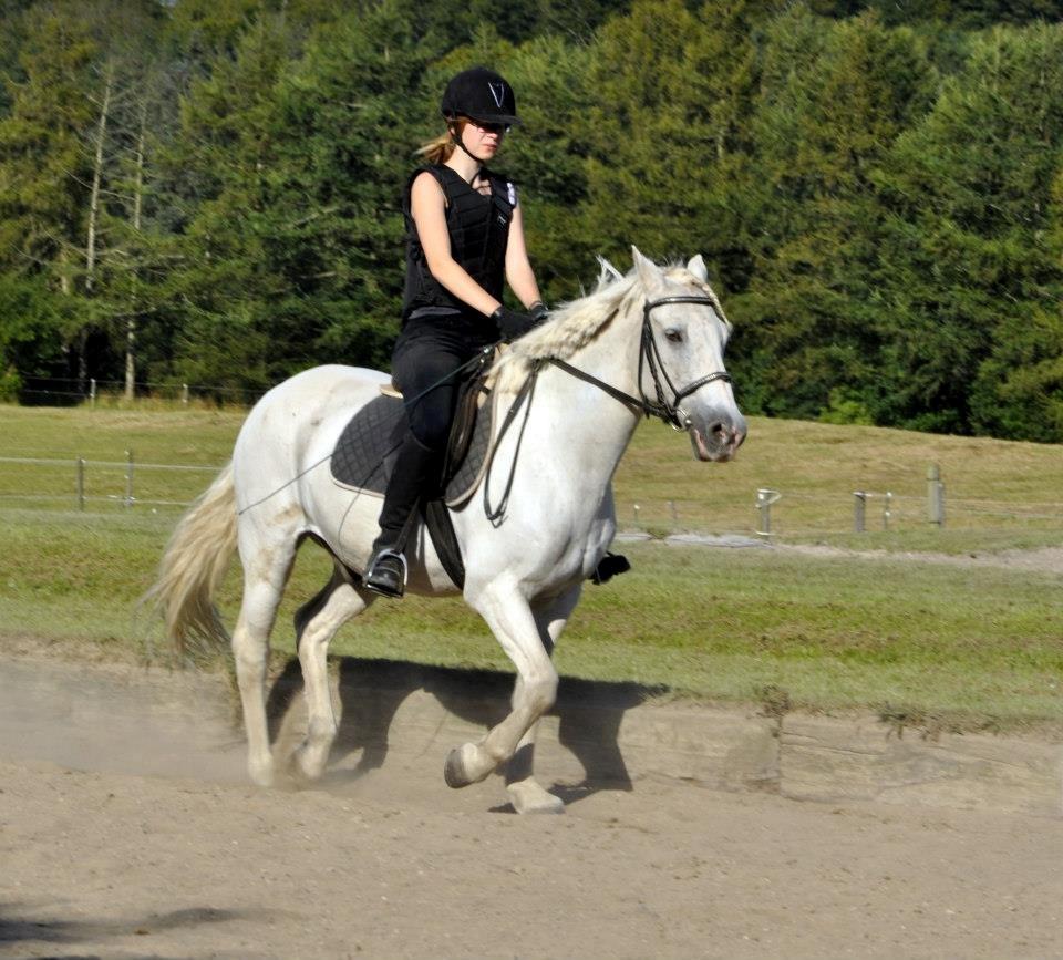 Connemara Asmindrupgårds Lorenzo<3 (passer) - trods din alder, er du utrolig samarbejdsvillig! billede 16