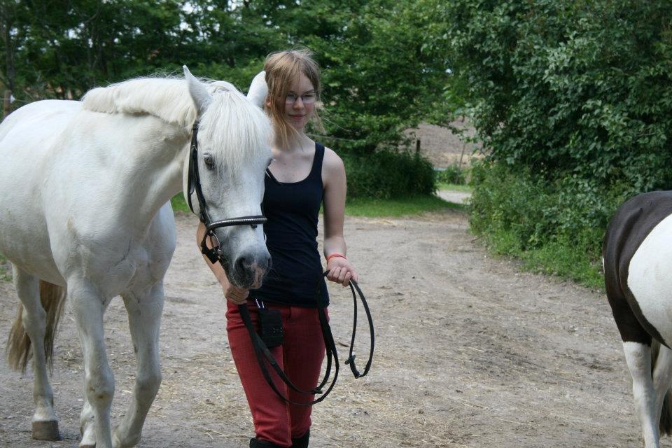Connemara Asmindrupgårds Lorenzo<3 (passer) - elsker dig pony<3 [Foto: Sarah Larsen] billede 10