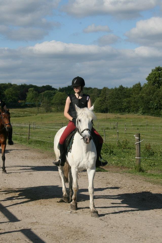 Connemara Asmindrupgårds Lorenzo<3 (passer) - skridter af på markvejen. (Måske efter en dejlig tur. Hvem ved?) billede 20