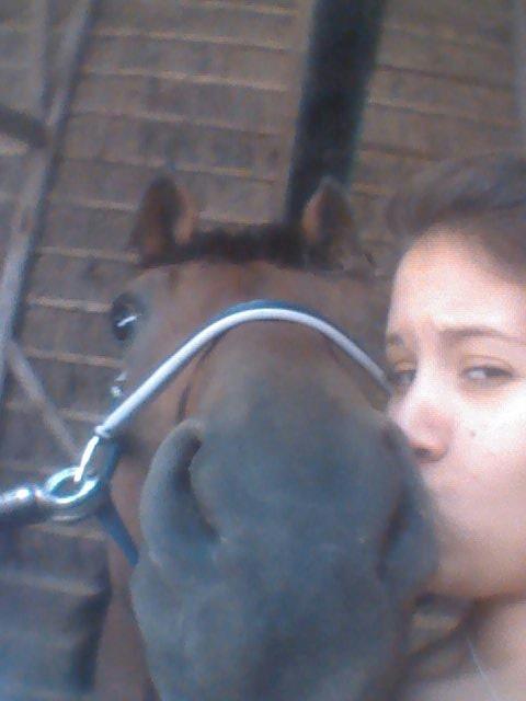 Trakehner Mi Manchi - Lige så seriøse vi kan være, lige så fjollede kan vi også være ;D
Elser dig min bedste ven! <3 billede 20