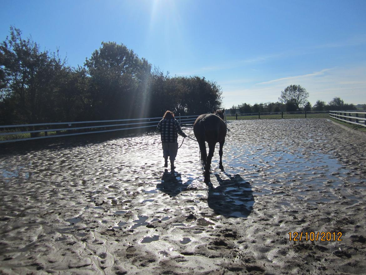 Anden særlig race Babe - Tak fordi i kiggede forbi min profil =) billede 21