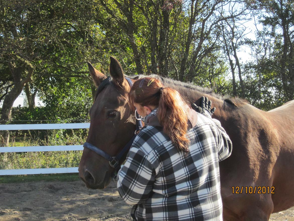 Anden særlig race Babe billede 13
