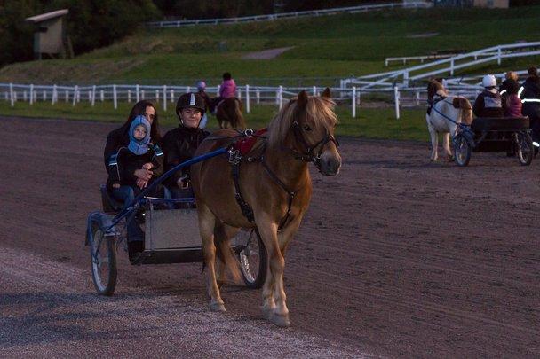 Gotlandsruss Ivanhoe<3 - Ivan til Kulturnat inde på JVB<3 billede 16