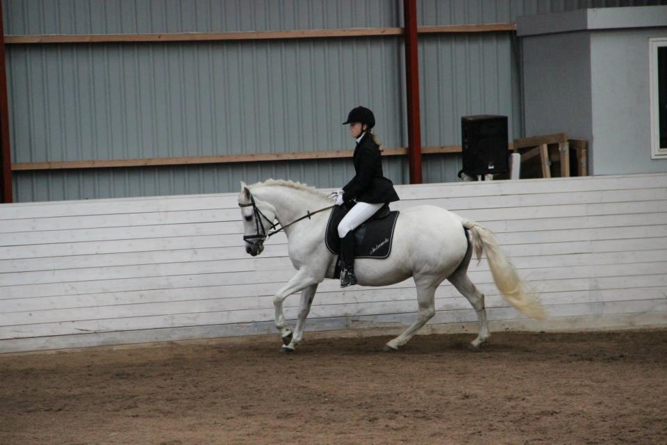 Connemara Rystinges Andromeda billede 9