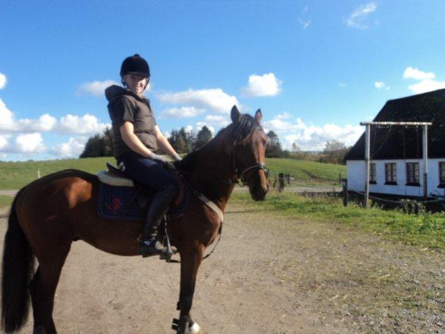 Anden særlig race LUNDGAARD'S COINTREAU - SOLGT - Efter en god springtime :-) billede 9