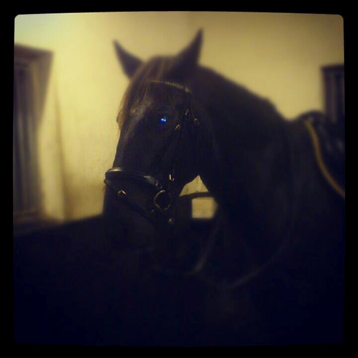 Oldenborg Odin billede 16