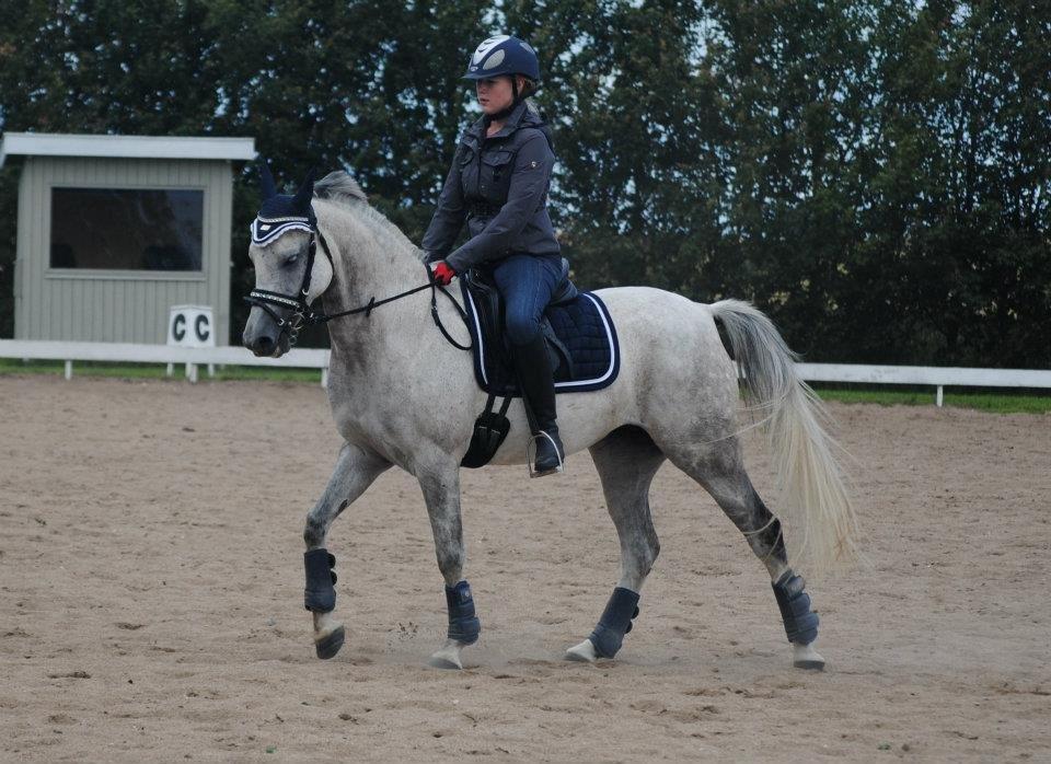 DSP Fabiola billede 17