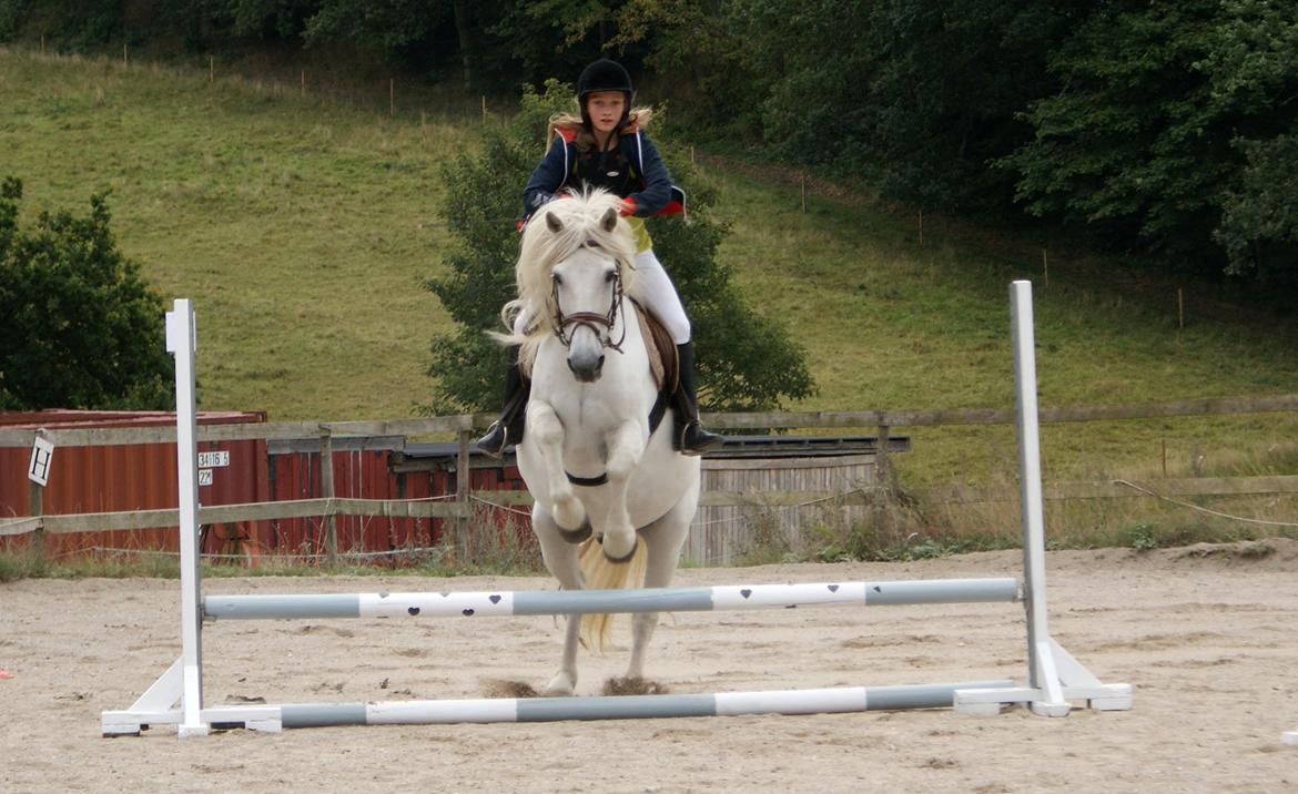 Anden særlig race Mikkel - Stævne. billede 10