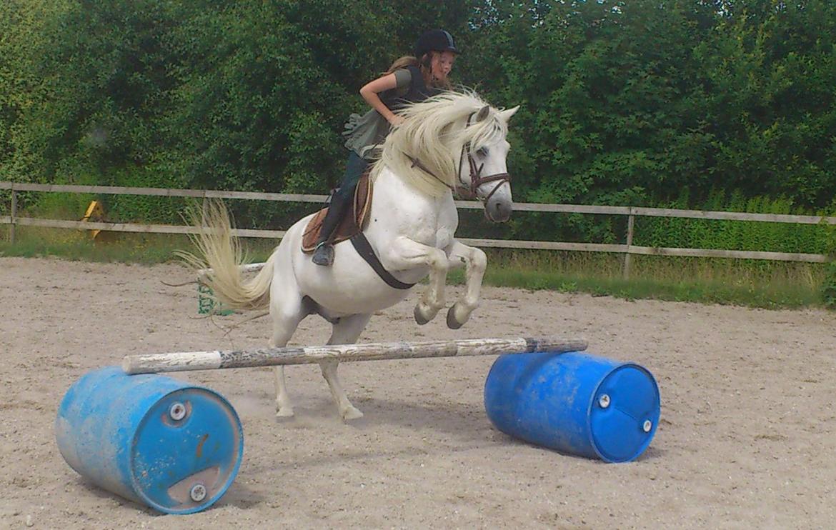Anden særlig race Mikkel - Min lillesøster på Mikkel. billede 11