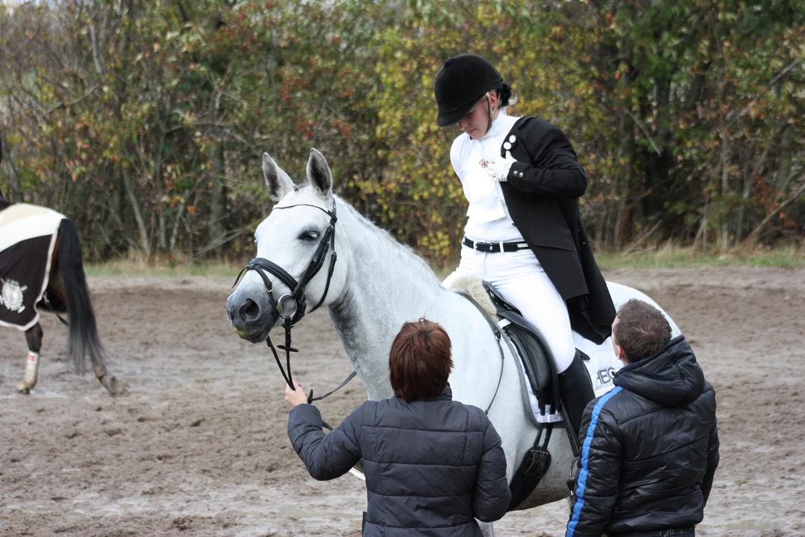 Branderburger Elektra billede 14