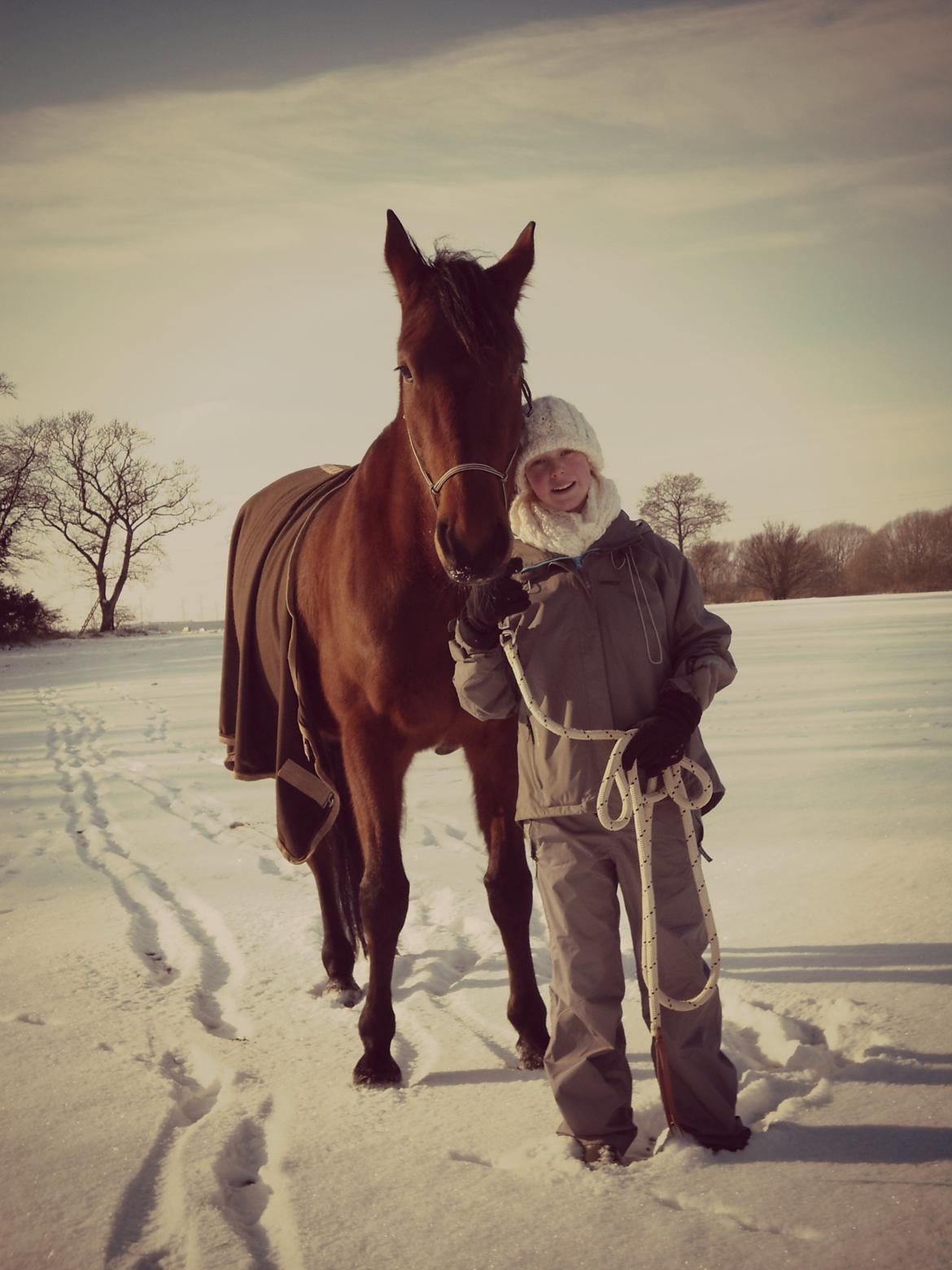 Standardbred Pettachi | Charlie - Foto: Mig | Det gør mig så glad det her billede. Charlie er bare så glad for min søster :)  billede 17