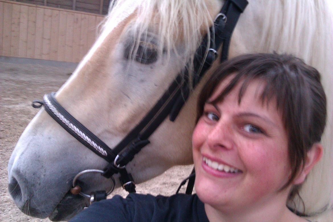 Tyroler Haflinger Anthony's Apollo billede 6