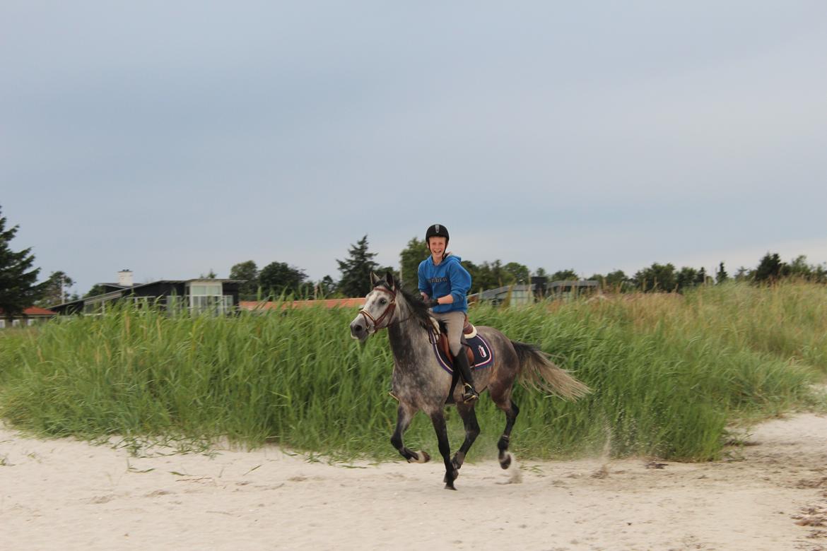 Anden særlig race Calibra - Ferie med Calle i ØH!<3

Foto: Mie billede 12