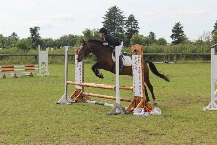 Anden særlig race Solbakkens Lukas - 4 dags stævne i Hodsager :-) billede 12