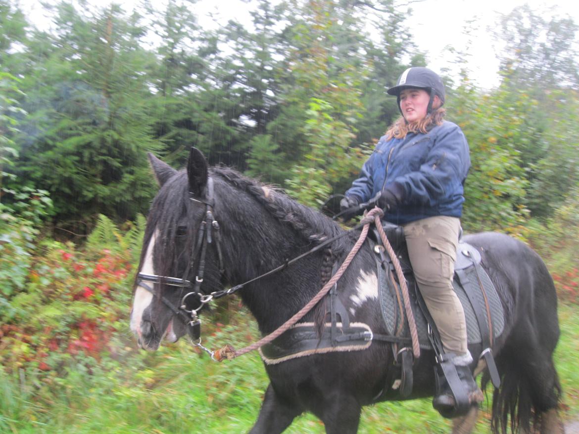 Irish Cob Pam:-* - Rider i skoven dagen efter jeg fik hende:-) Er noget stolt! billede 2