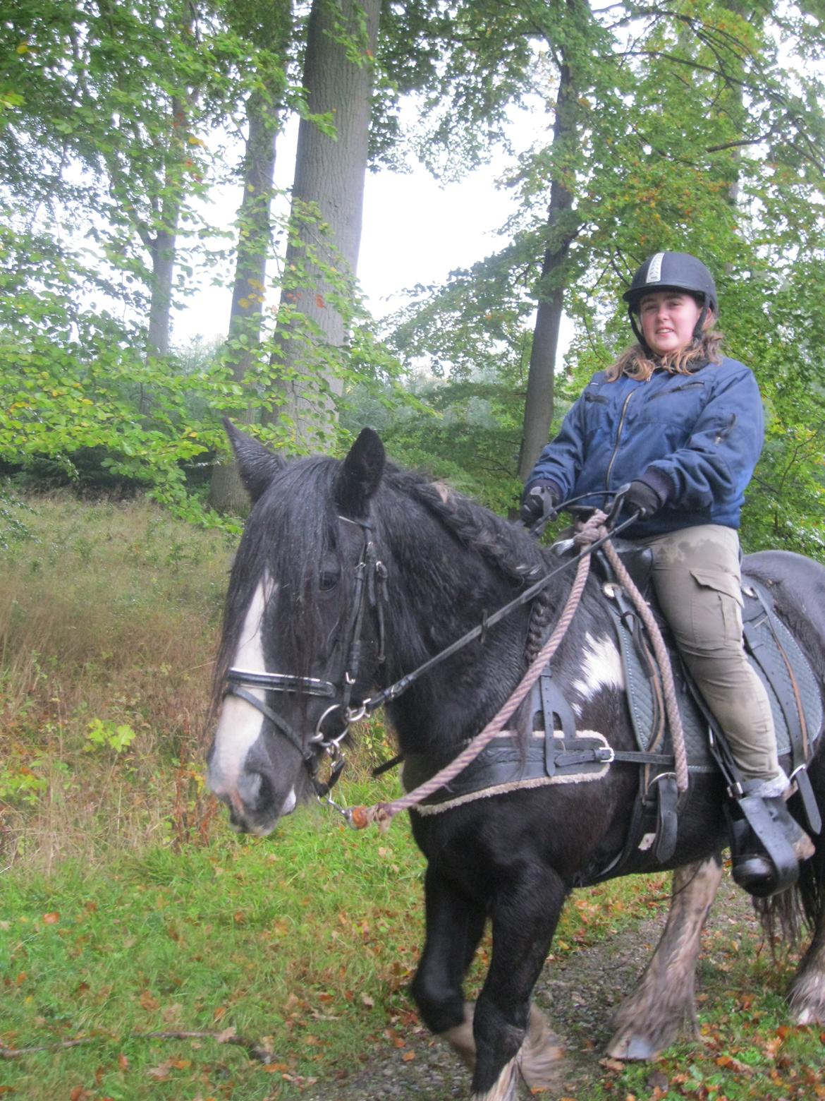 Irish Cob Pam:-* - Er en virkelig stolt ejer!<3<3 billede 3