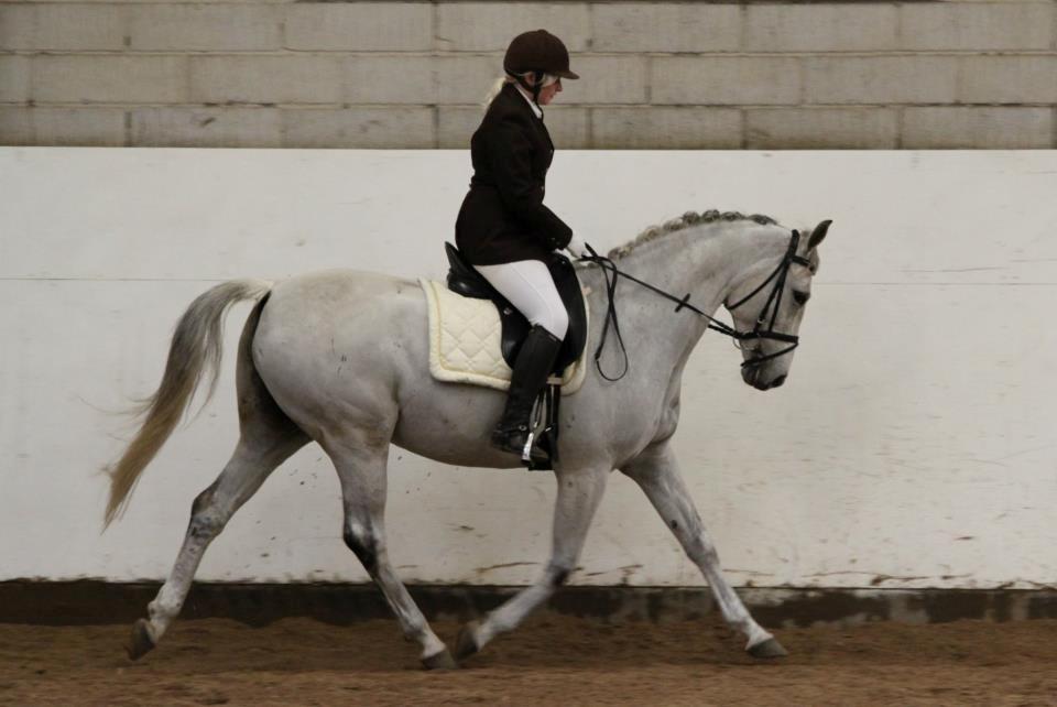 Trakehner Hawa (Bint-Al-Hawa) - Hawa og jeg til stævne på MRR 
- LC1 billede 6