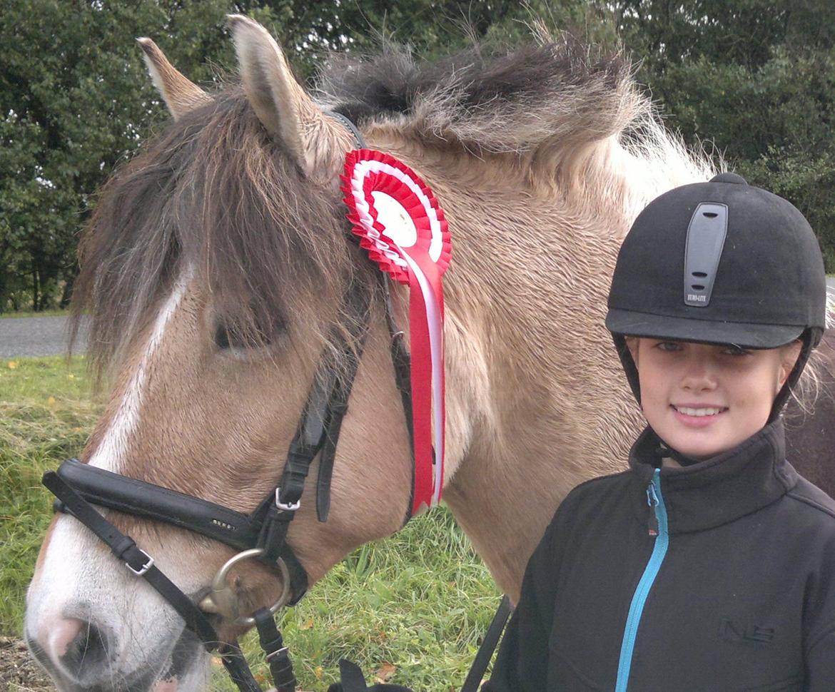 Anden særlig race Troja billede 16