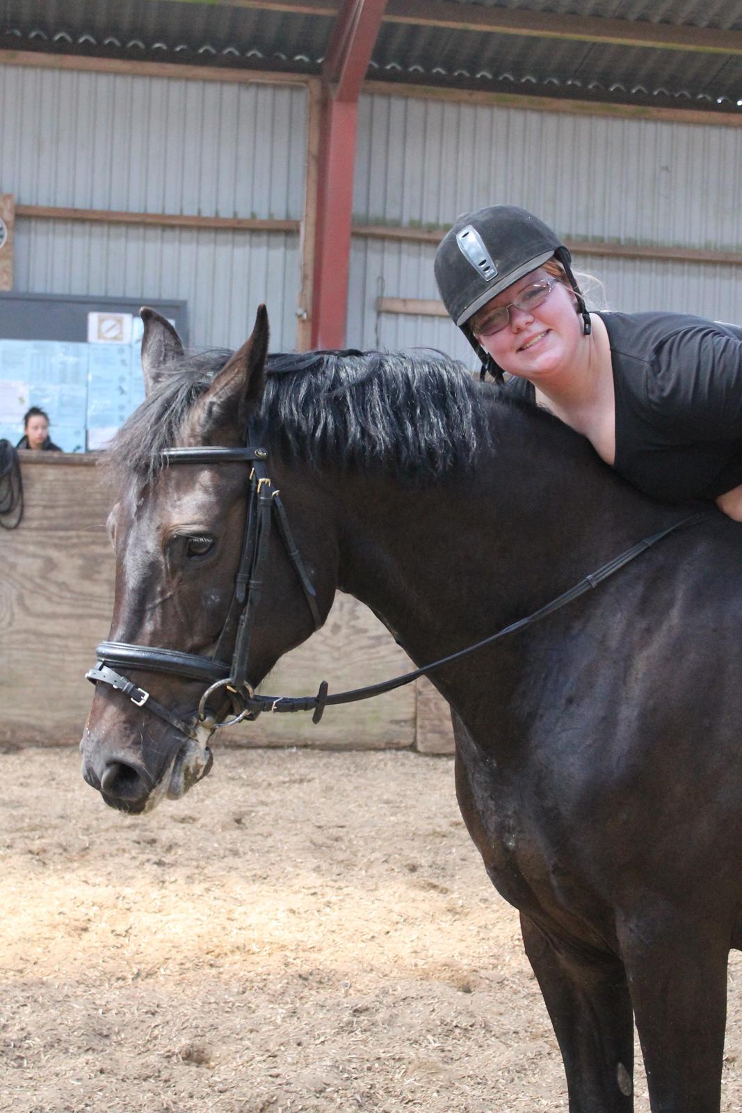 Dansk Varmblod Maygårdens Cordial - Cody <3 billede 10