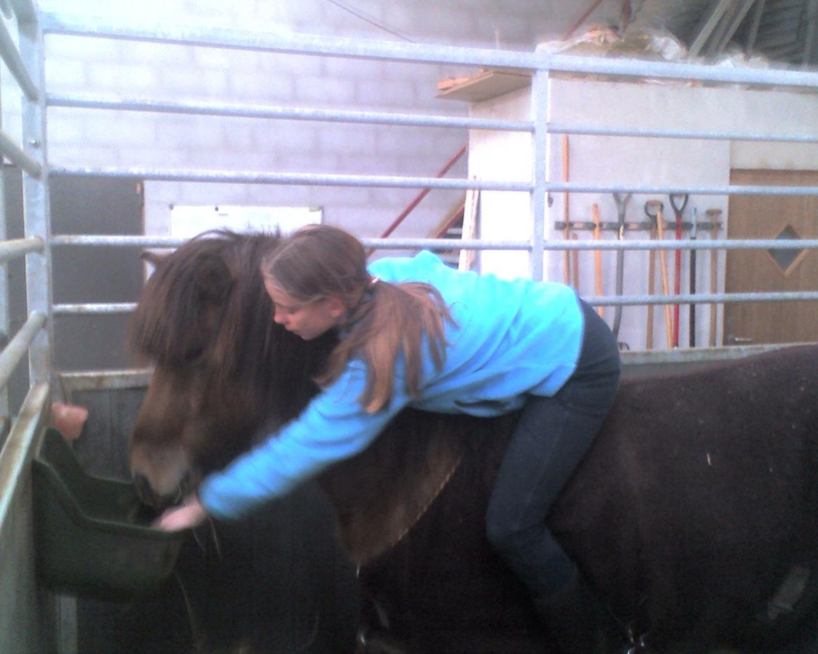 Anden særlig race Elli fra Skidbakka billede 10