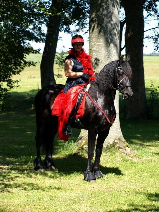 Frieser Famke Ilona F, STER billede 1