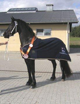 Frieser Famke Ilona F, STER billede 4