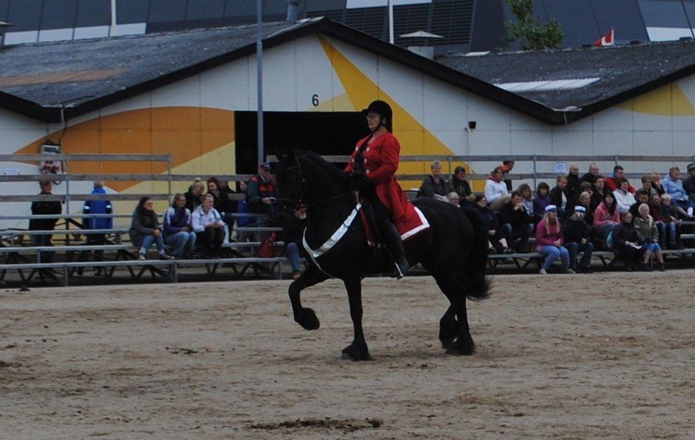 Frieser Famke Ilona F, STER billede 19