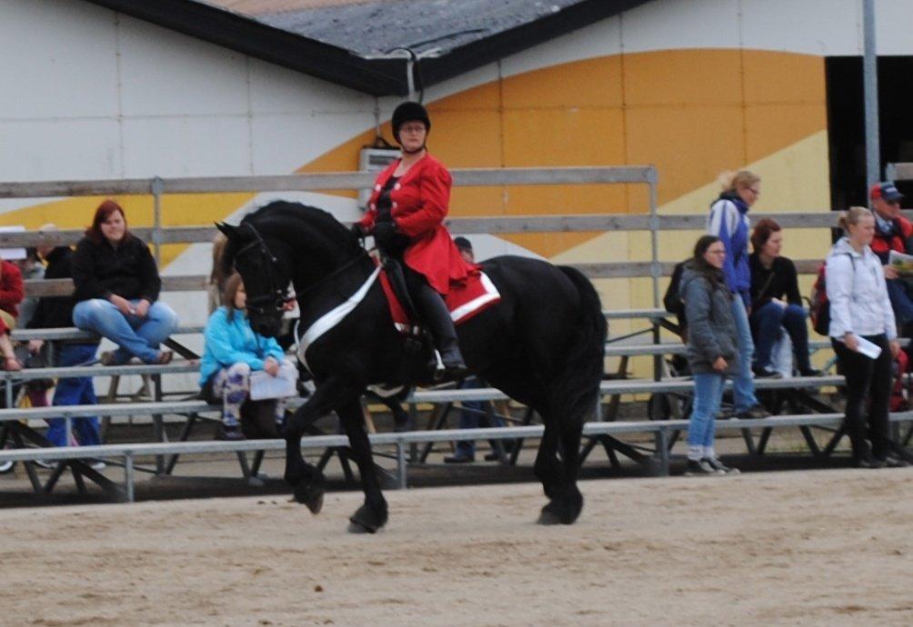 Frieser Famke Ilona F, STER billede 20